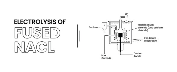 Electrolysis of Fused NACL