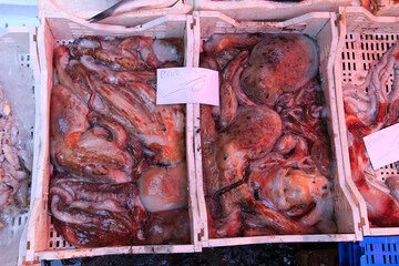 Frischer Okotopus auf dem historischen Fischmarkt Catania, Catania, Sizilien, Italien - obrazy, fototapety, plakaty