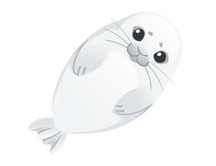 Cute white seal child mammal arctic animal cartoon animal design vector illustration isolated on white background