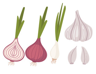 Set of bulb red onion and garlic with green stem spicy edible root vector illustration isolated on white background