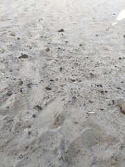 footprint in the sand