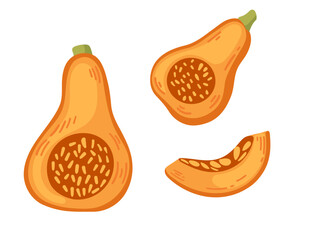 Tasty orange pumpkin seasonal vegetable vector illustration on white background