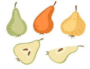 Set of different color pears sweet tasty fruit whole and halved vector illustration isolated on white background