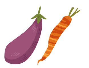 Eggplant with carrot vegetables vector illustration isolated on white background