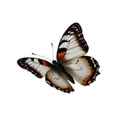 colorful butterfly transparent png without background