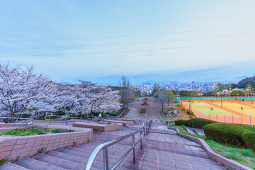 2024年春、桜咲く竜王公園から眺める広島市街風景(広島県広島市)