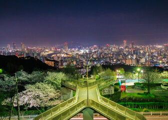 桜満開の竜王公園から眺める広島市街夜景(広島県広島市)