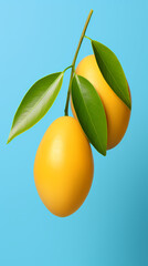 fresh mango