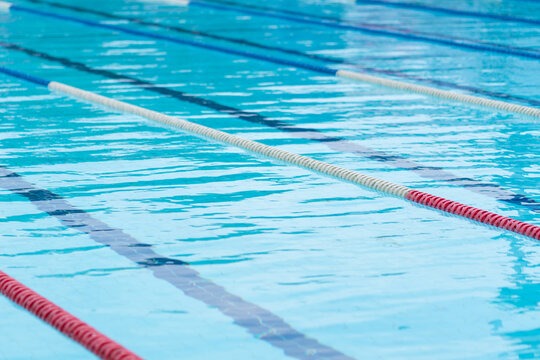 Competition Pool With Blue Water And Marked Swimming Lanes