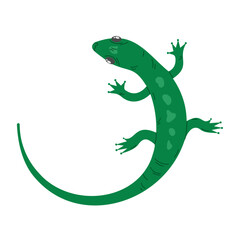 Vector illustration of a cute doodle lizard in green color