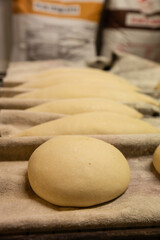 Bread in a French bakery from south of France