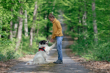 Woman having a good time with her shepherd dog outdoors in the forest. 