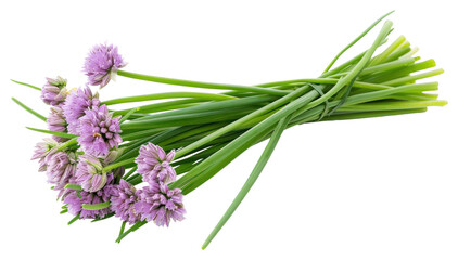PNG Chives vegetable flower plant.