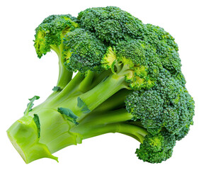 Naklejka premium PNG Broccoli floret vegetable produce animal.