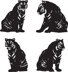set of black and white tiger