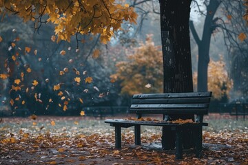 Lonely wooden bench under a tree with falling leaves around it - obrazy, fototapety, plakaty