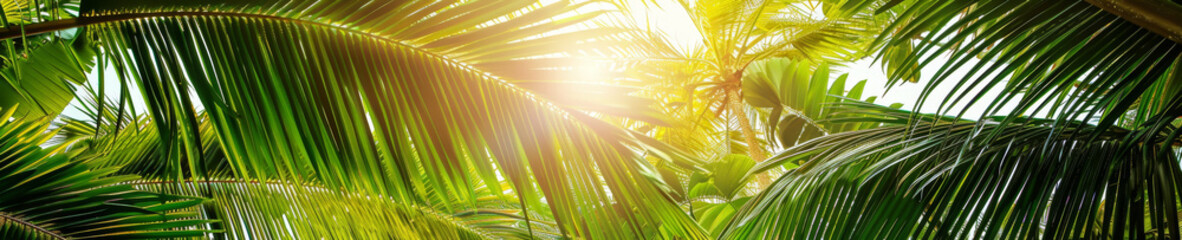 Tropical Palm Leaves with Sunlight Flare - Lush Greenery Background