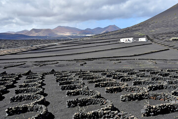 Lanzarote, Canary Islands - march 15 2024 : the touristy island - 786436110
