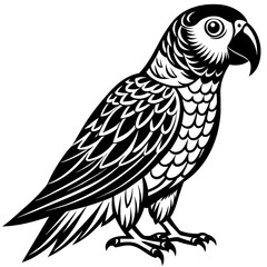 parrot--vector design 