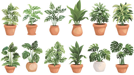 Fototapeta premium Portrait of potted plants, transparent images