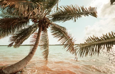 Selbstklebende Fototapeten Tropical beach © Galyna Andrushko