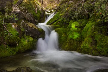 Selbstklebende Fototapeten Waterfall in the forest © Galyna Andrushko