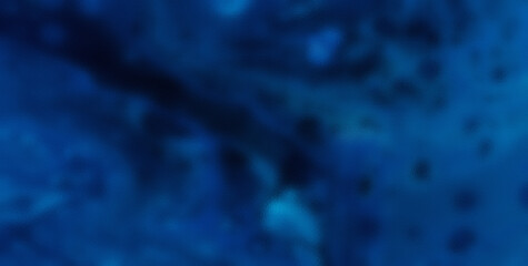 Translucent Blue Aesthetic: Abstract Glass Background