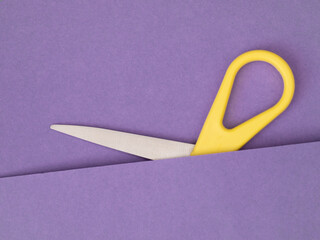 Scissors, part hidden on purple. Unusual. - 786442787