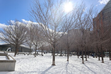 Naklejka premium Snow