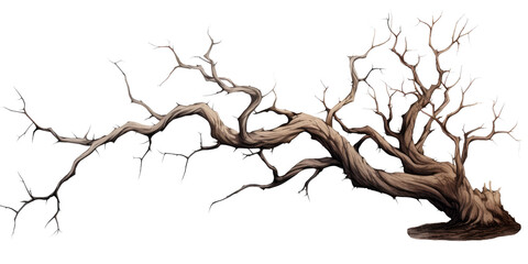 Fototapeta premium Dead tree for Halloween decoration and spooky things on a transparent background