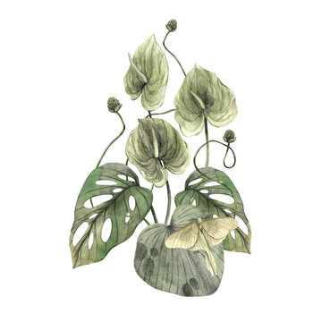 watercolor green leaves with moth clip art preview