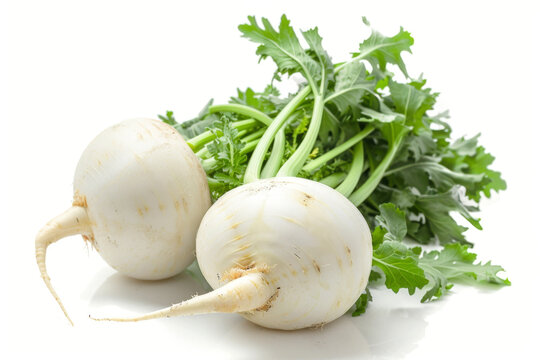 Kohlrabi (German turnip or turnip cabbage) two raw bulbs with fresh leaves isolated on white background