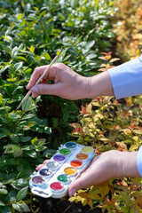 A blurry image of a girl’s hand with a brush painting green leaves on the street.