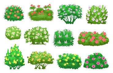 Green garden bushes with flowers. Decorative summer plants. Cartoon blooming shrubs. Shrubbery trees. Living natural hedge. Botanical landscape elements. Foliage leaves. Splendid vector set