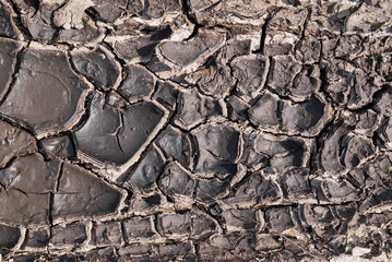 Cracked, dried out earth. Textured background in dark colors.