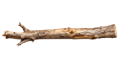 Rustic Dry Tree Branch, isolated on transparent background 