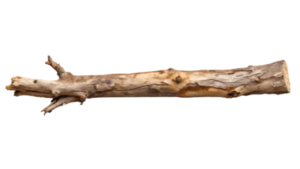 Foto op Plexiglas Rustic Dry Tree Branch, isolated on transparent background  © MD NAZMUL