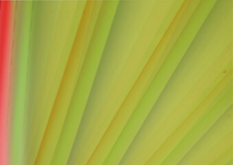 Wings colorful kit abstract pattern wallpaper