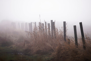 Fence made of wooden pickets , foggy sunrise