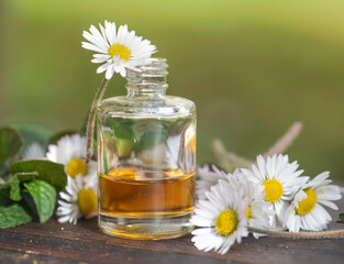 bottles of essential oil and daisies with fresh mint leaf on a wooden table  outdoors - 786469545