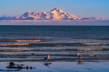 Early Morning Iliamna