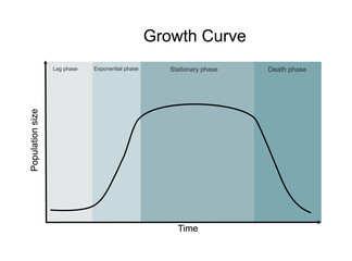 The growth curve: a lag, Exponential or log, stationary and death or decline phase that shows relationship between population size and  growth period. 