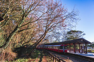 taiwan.chiayi​ 13.2.2023  Diesel-powered train at Zhushan Train Station on Alishan Mountain, Taiwan, in the morning after watching the sunrise.