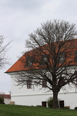 Obraz premium Old building with red roof and bare trees on a cloudy day.