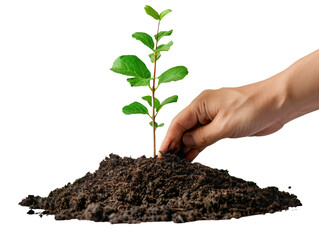 Tree Planting Hand