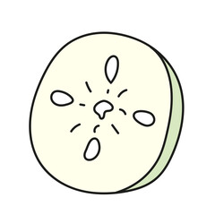 Fototapeta premium Cucumber slice. Vector illustration in doodle style