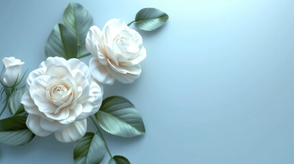 Obraz na płótnie Canvas White Roses Elegance Against a Soft Blue Background