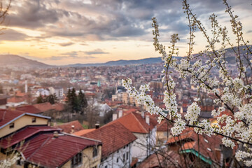 picturesque view of Sarajevo as spring transforms the cityscape, with blooming trees and colorful...