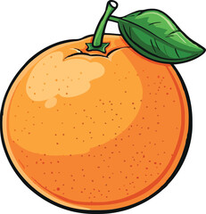 Icon orange fruits vector