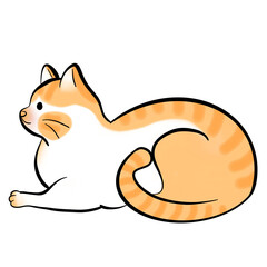 cute orange cat